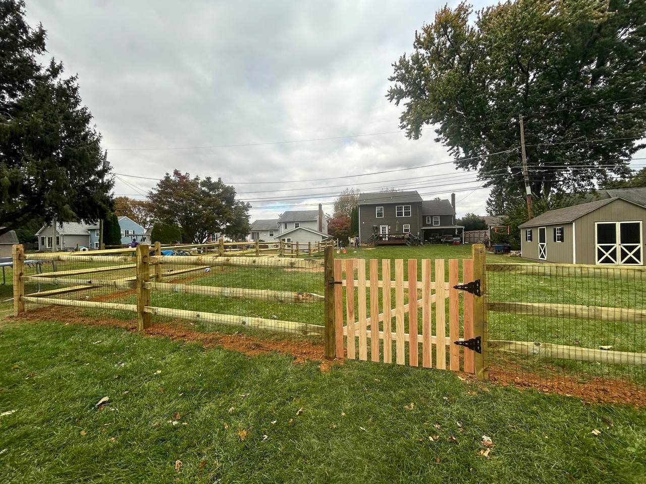 photo_4945428127660313856_y