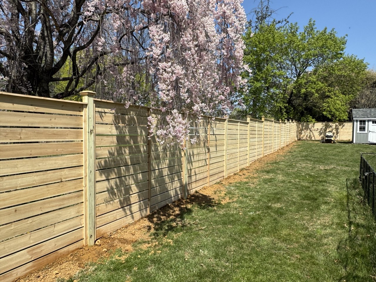 photo_4949714066935057171_y