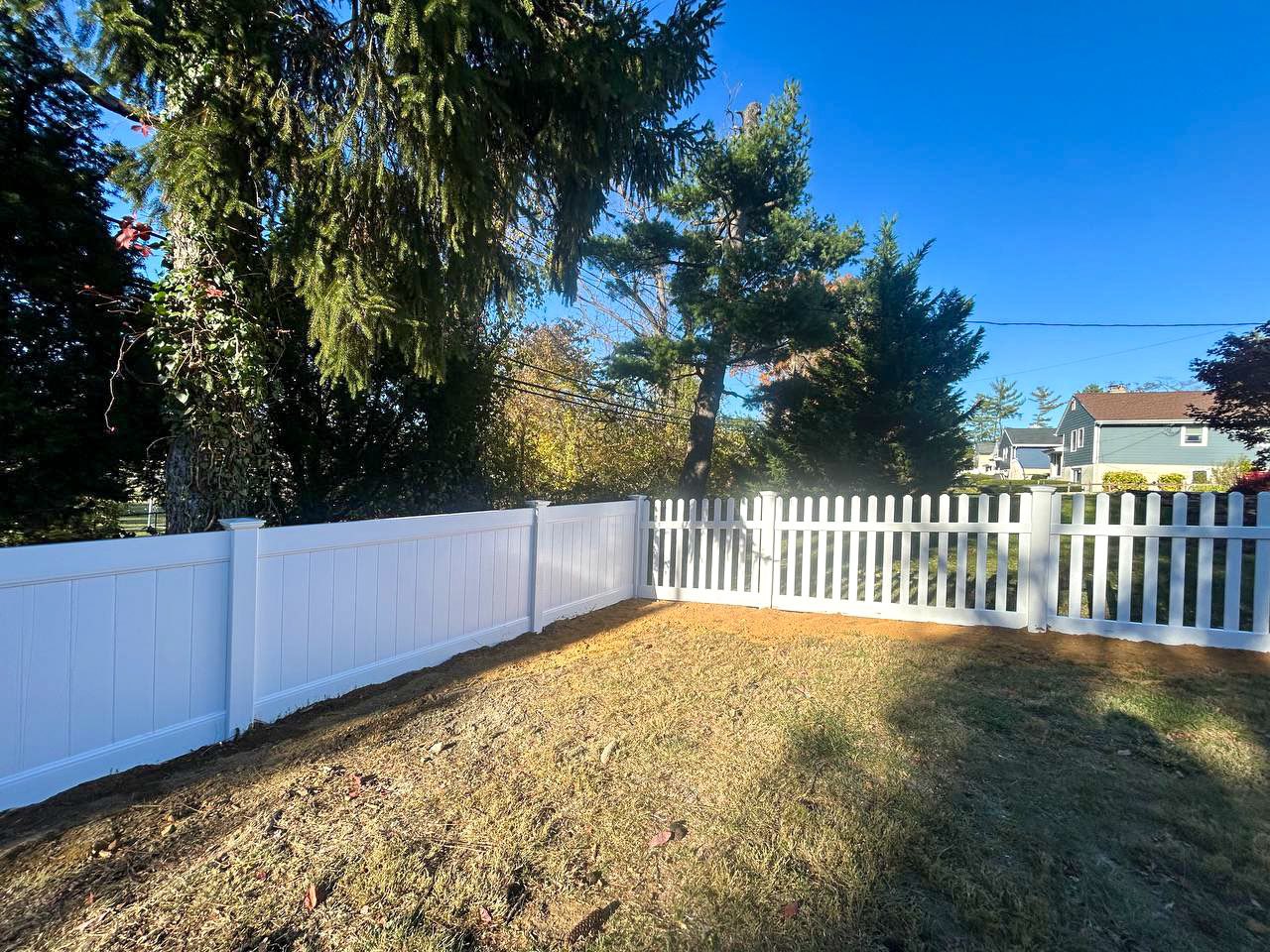 photo_6093462917262019763_y